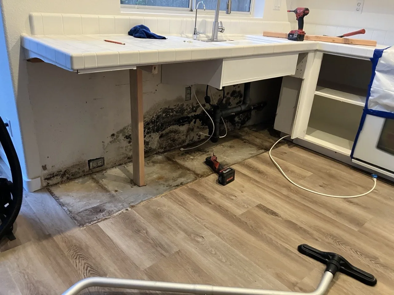 Mold on the drywall behind a kitchen sink after the base cabinets were removed