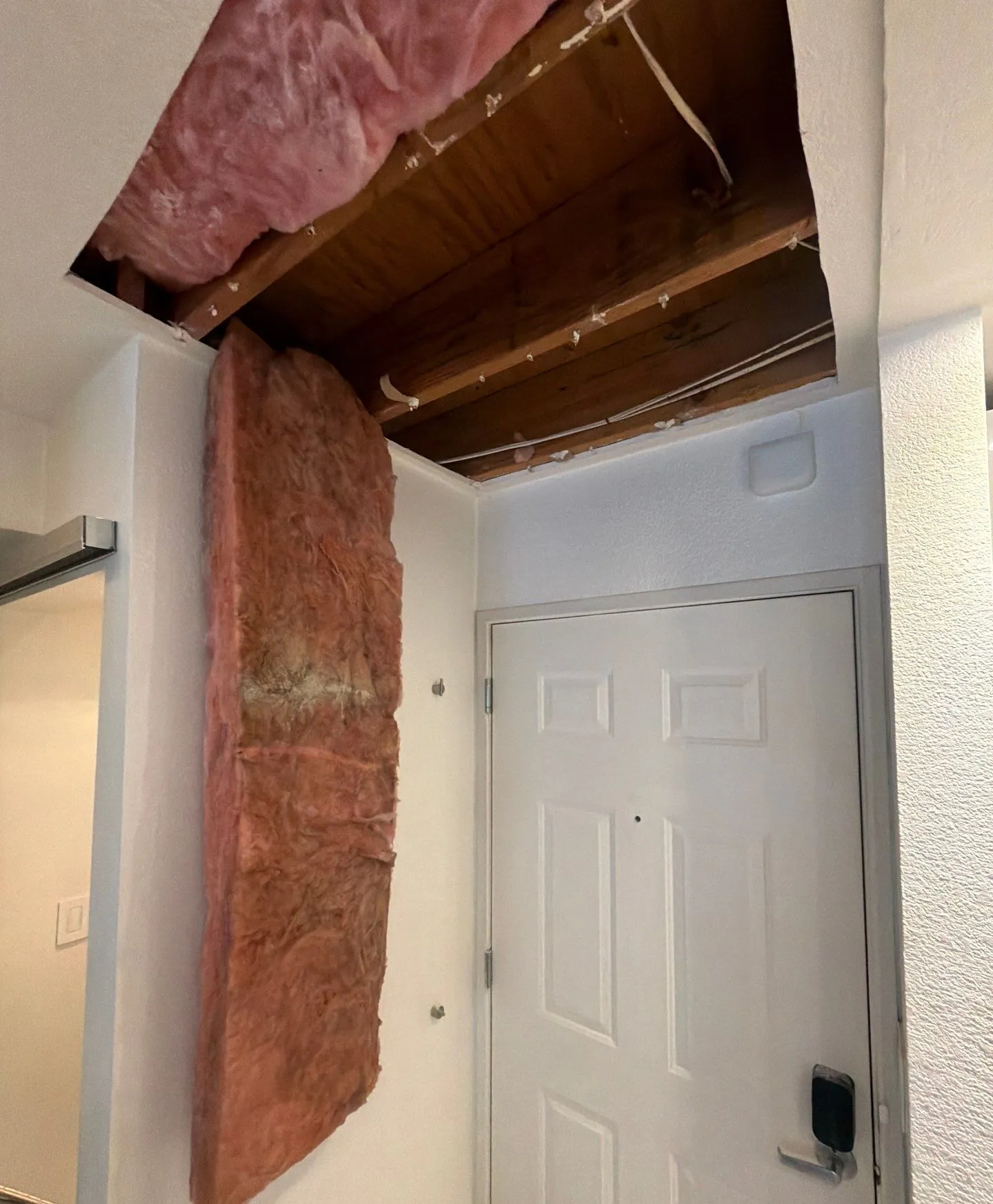 Ceiling opened near the entry with wet insulation hanging down